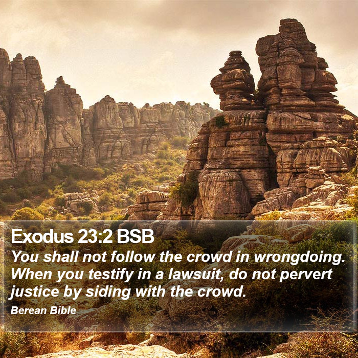 Exodus 23:2 BSB Bible Study