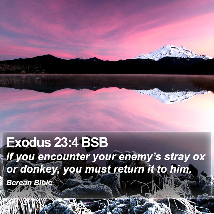 Exodus 23:4 BSB Bible Study