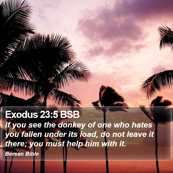 Exodus 23:5 BSB Bible Study