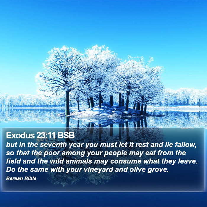 Exodus 23:11 BSB Bible Study