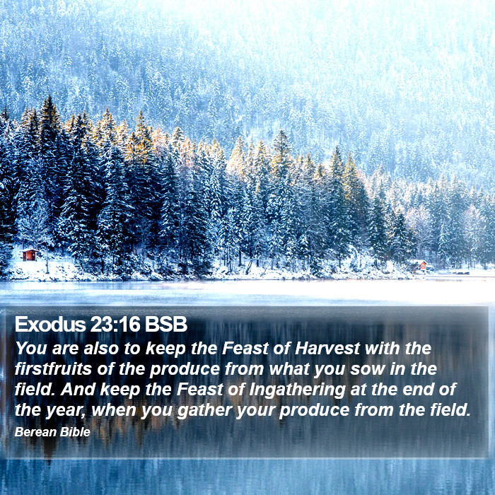 Exodus 23:16 BSB Bible Study