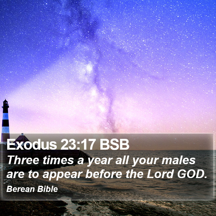 Exodus 23:17 BSB Bible Study