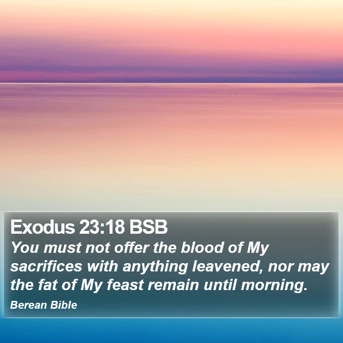 Exodus 23:18 BSB Bible Study