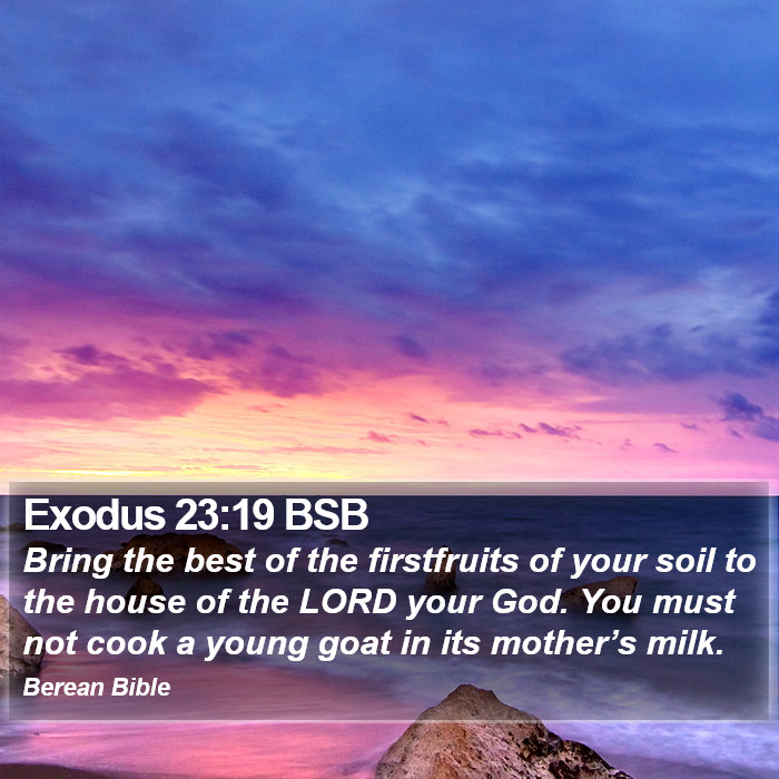 Exodus 23:19 BSB Bible Study