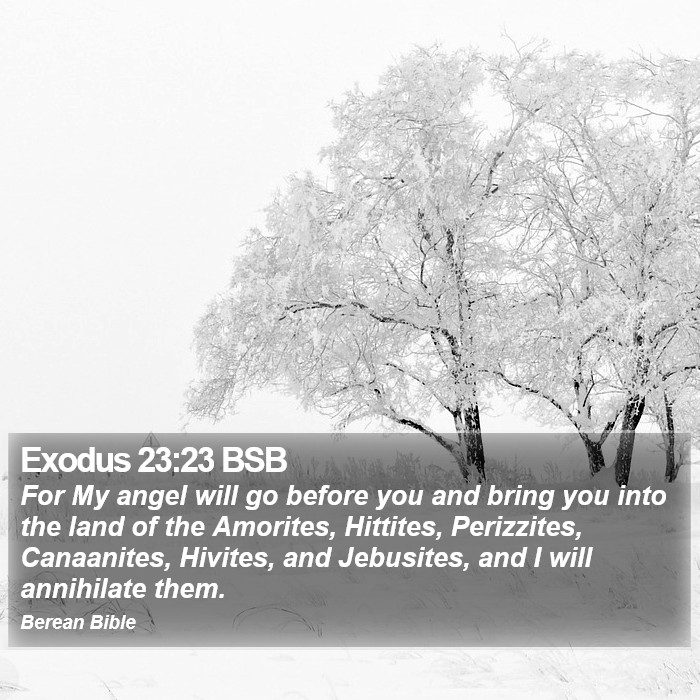 Exodus 23:23 BSB Bible Study