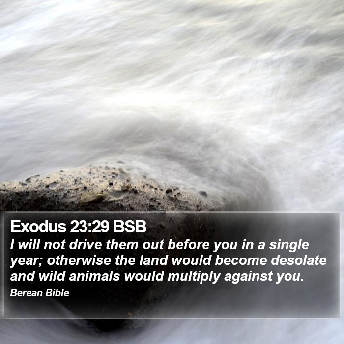 Exodus 23:29 BSB Bible Study