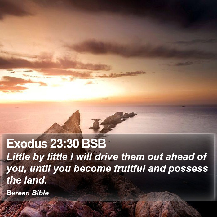 Exodus 23:30 BSB Bible Study