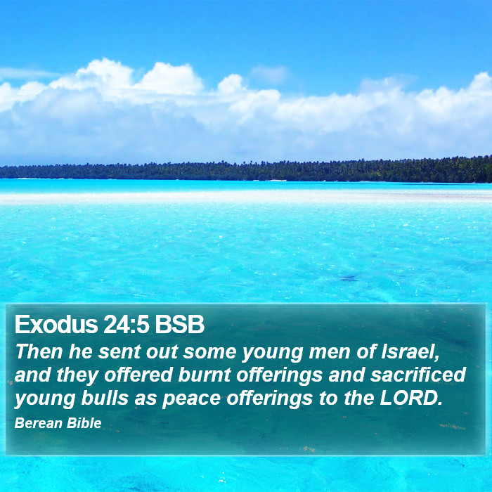 Exodus 24:5 BSB Bible Study