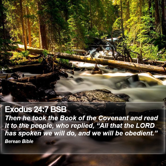 Exodus 24:7 BSB Bible Study