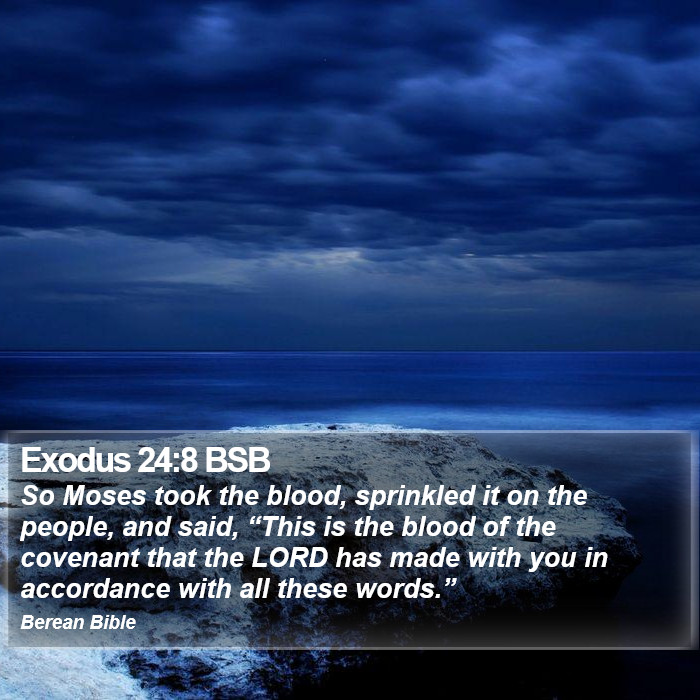 Exodus 24:8 BSB Bible Study