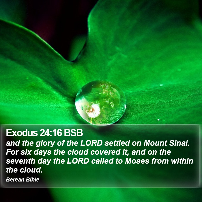 Exodus 24:16 BSB Bible Study