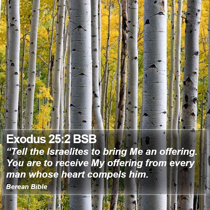 Exodus 25:2 BSB Bible Study