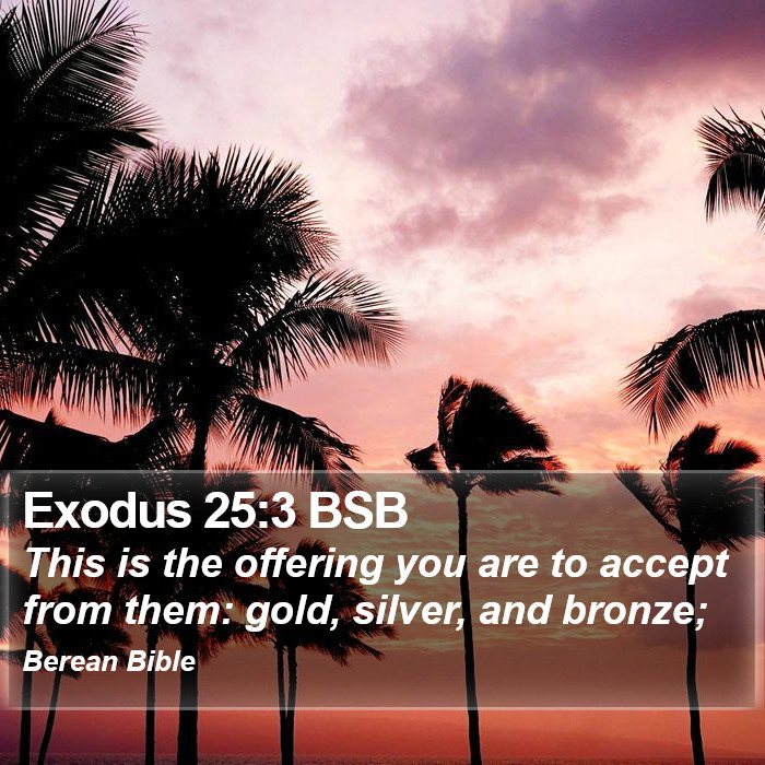 Exodus 25:3 BSB Bible Study