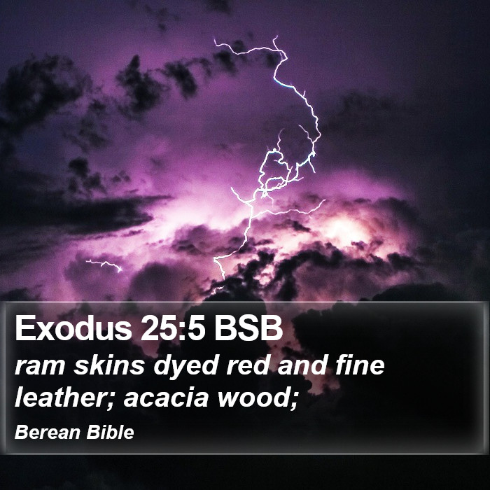 Exodus 25:5 BSB Bible Study