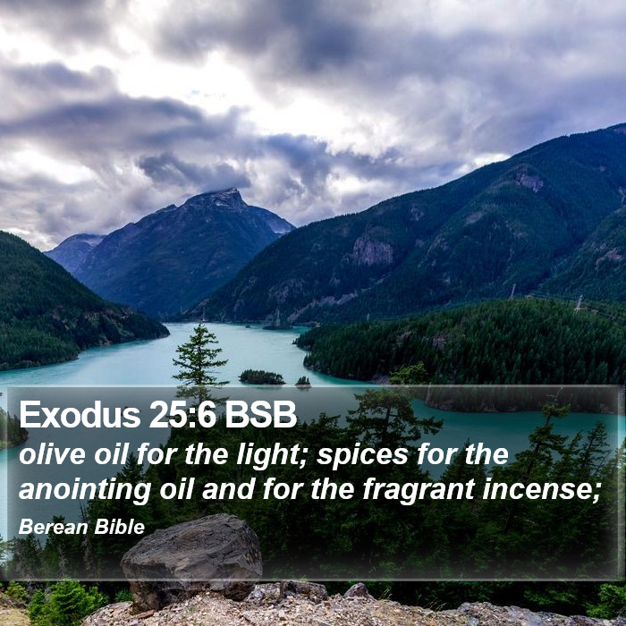 Exodus 25:6 BSB Bible Study