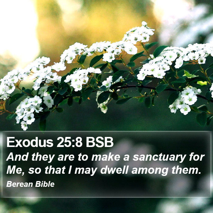 Exodus 25:8 BSB Bible Study