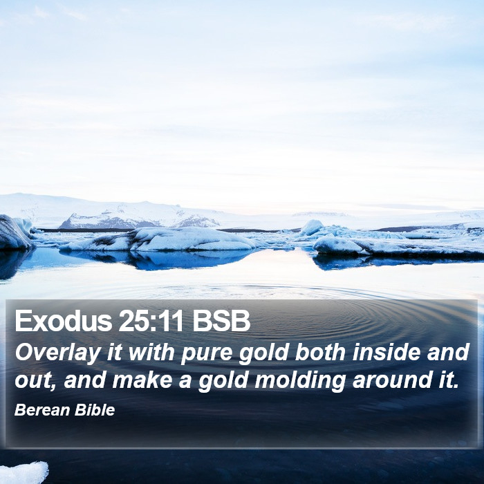 Exodus 25:11 BSB Bible Study