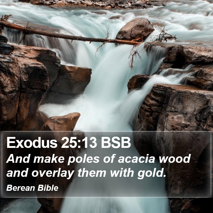 Exodus 25:13 BSB Bible Study