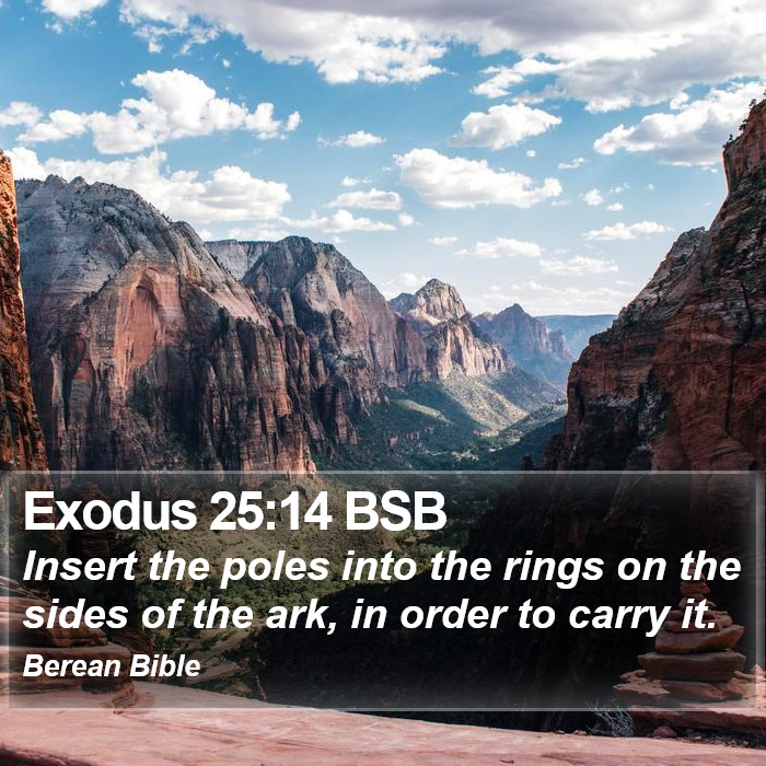 Exodus 25:14 BSB Bible Study