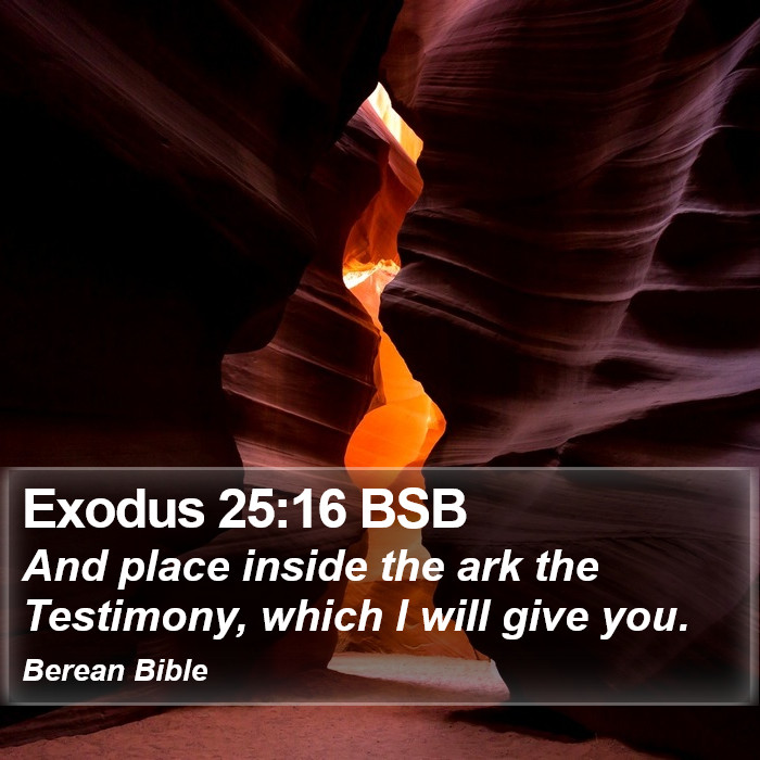 Exodus 25:16 BSB Bible Study