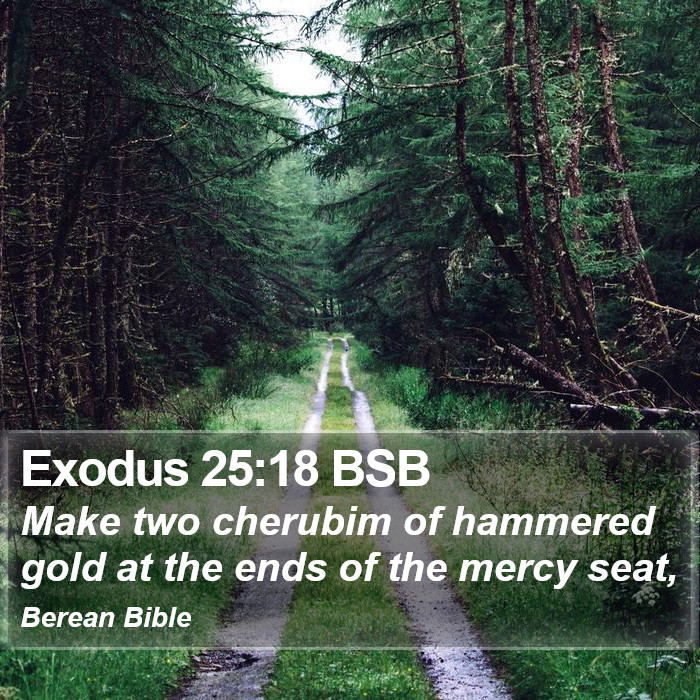 Exodus 25:18 BSB Bible Study