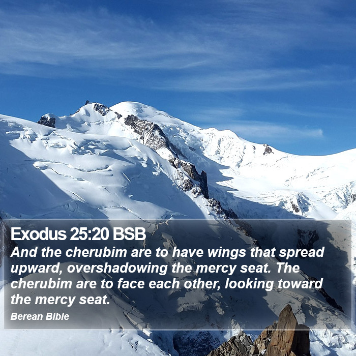 Exodus 25:20 BSB Bible Study