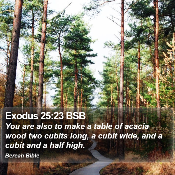 Exodus 25:23 BSB Bible Study