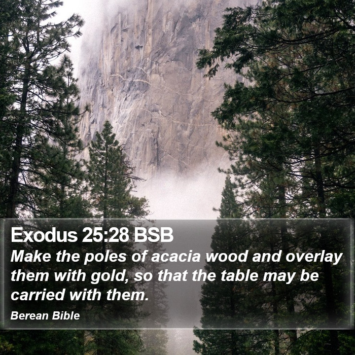 Exodus 25:28 BSB Bible Study