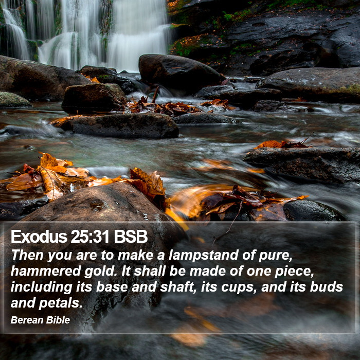 Exodus 25:31 BSB Bible Study