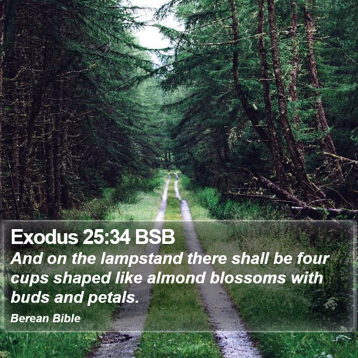 Exodus 25:34 BSB Bible Study