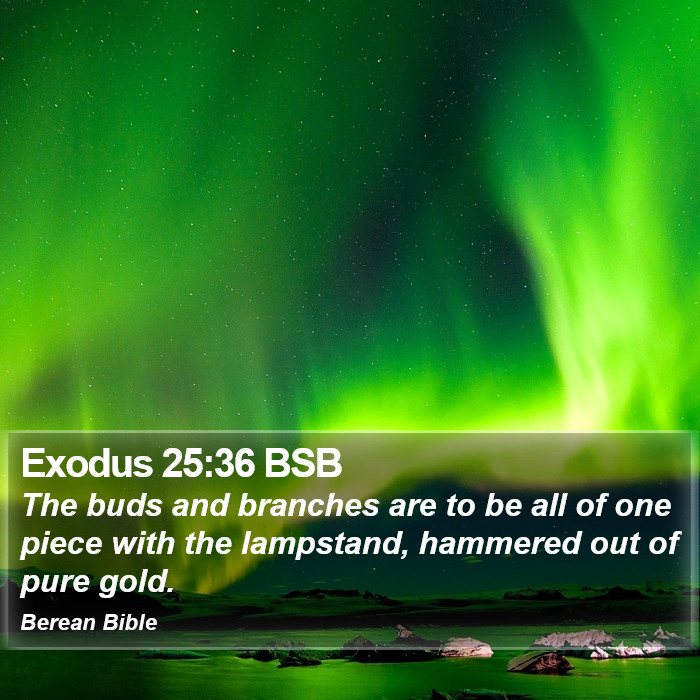 Exodus 25:36 BSB Bible Study