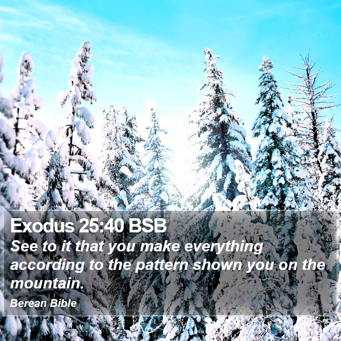 Exodus 25:40 BSB Bible Study