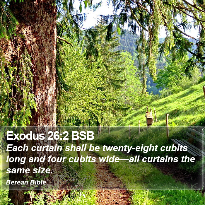 Exodus 26:2 BSB Bible Study