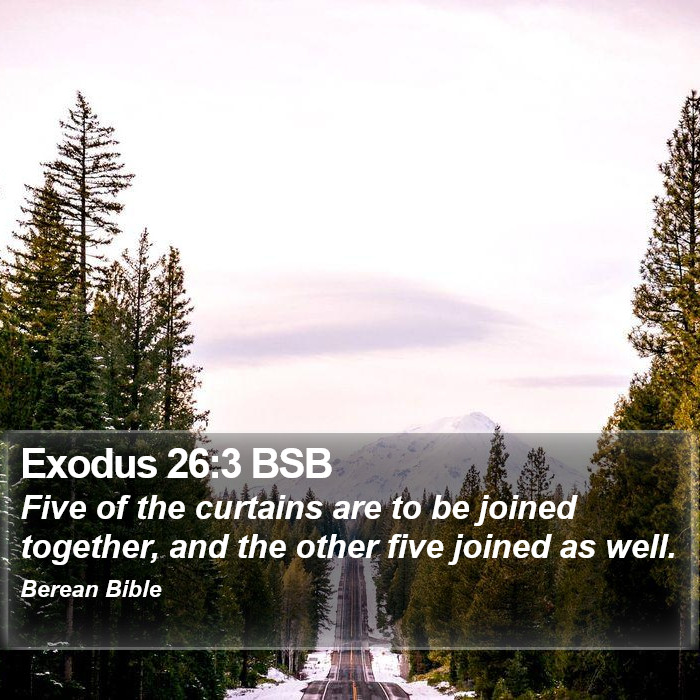 Exodus 26:3 BSB Bible Study