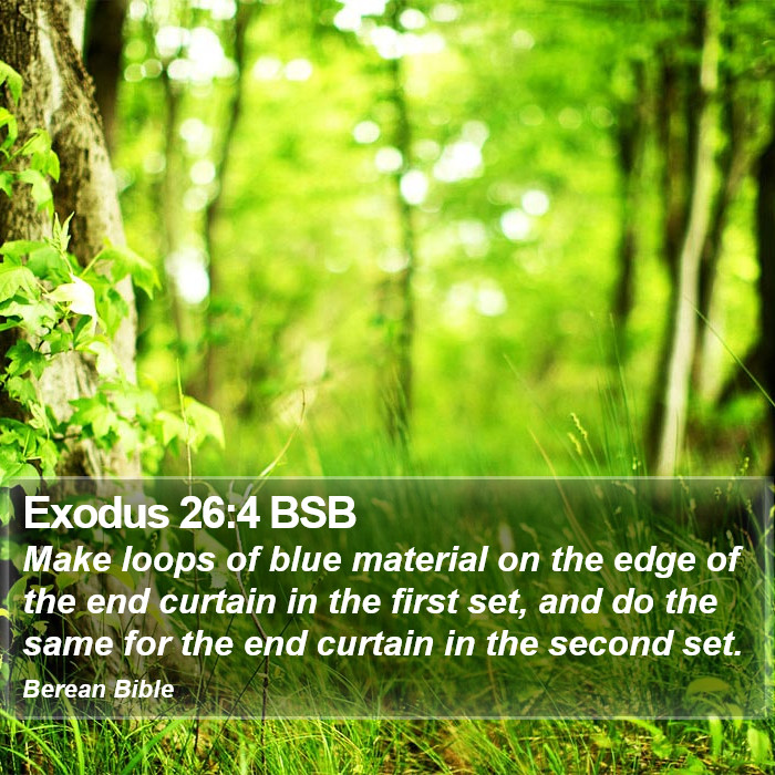 Exodus 26:4 BSB Bible Study