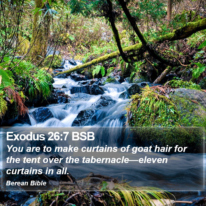 Exodus 26:7 BSB Bible Study