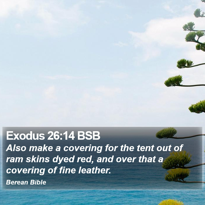 Exodus 26:14 BSB Bible Study