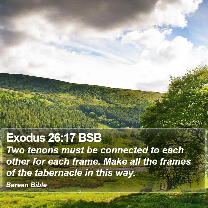 Exodus 26:17 BSB Bible Study