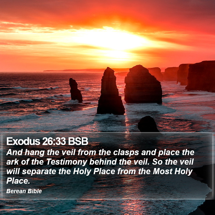 Exodus 26:33 BSB Bible Study