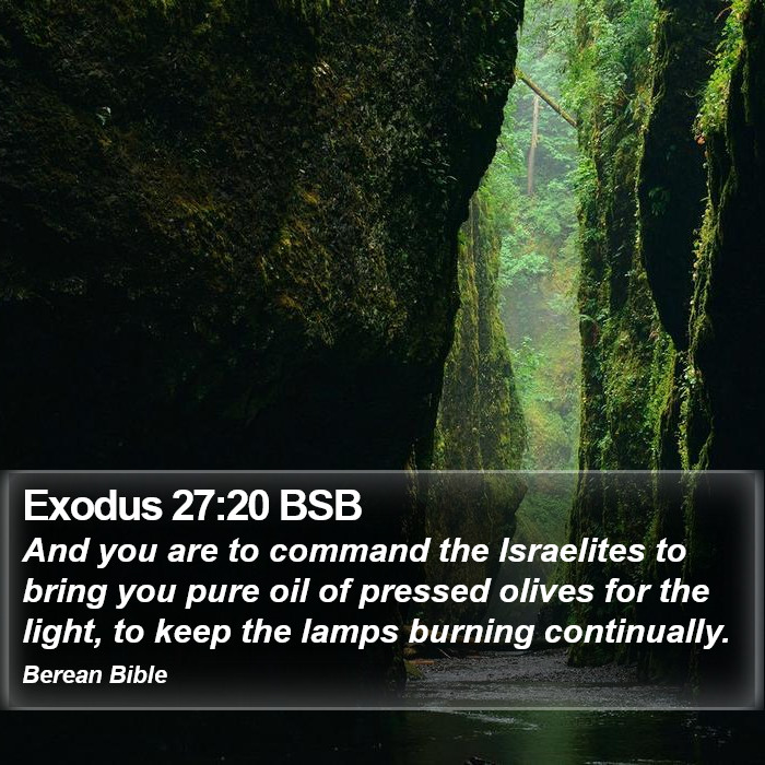 Exodus 27:20 BSB Bible Study