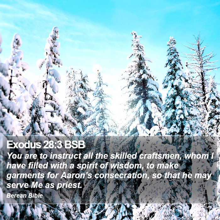 Exodus 28:3 BSB Bible Study