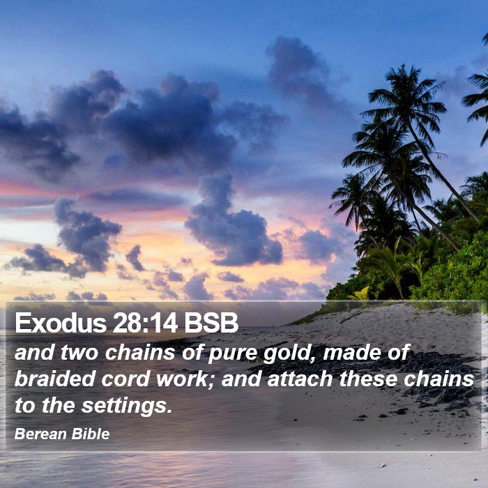 Exodus 28:14 BSB Bible Study