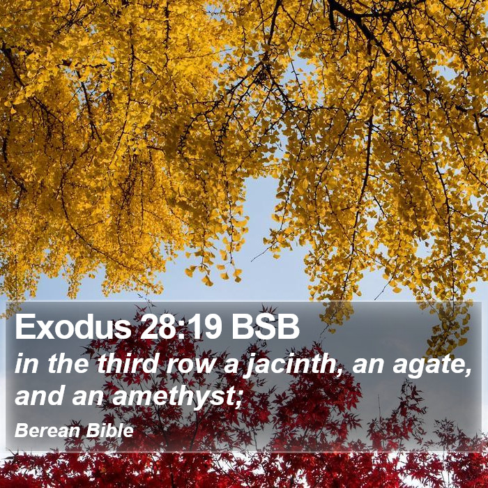 Exodus 28:19 BSB Bible Study