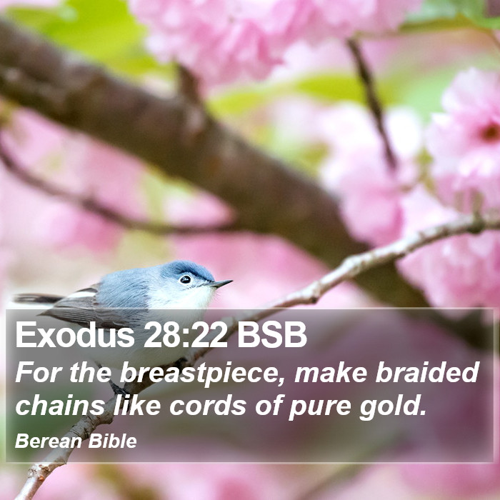 Exodus 28:22 BSB Bible Study