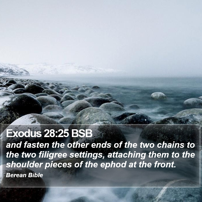 Exodus 28:25 BSB Bible Study