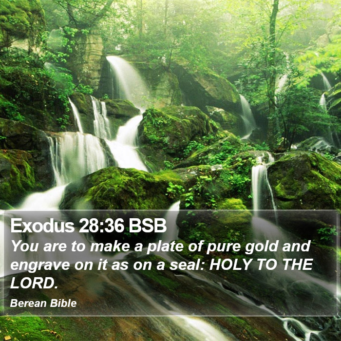 Exodus 28:36 BSB Bible Study