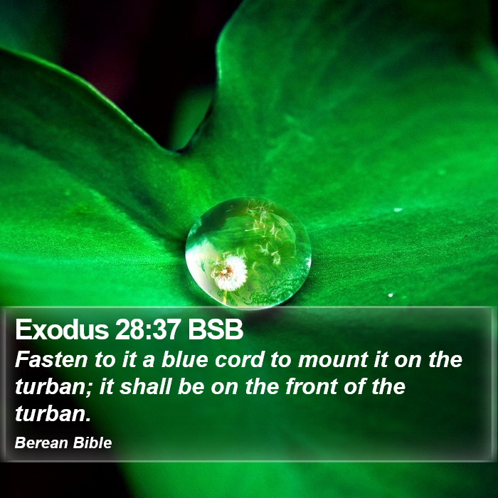 Exodus 28:37 BSB Bible Study