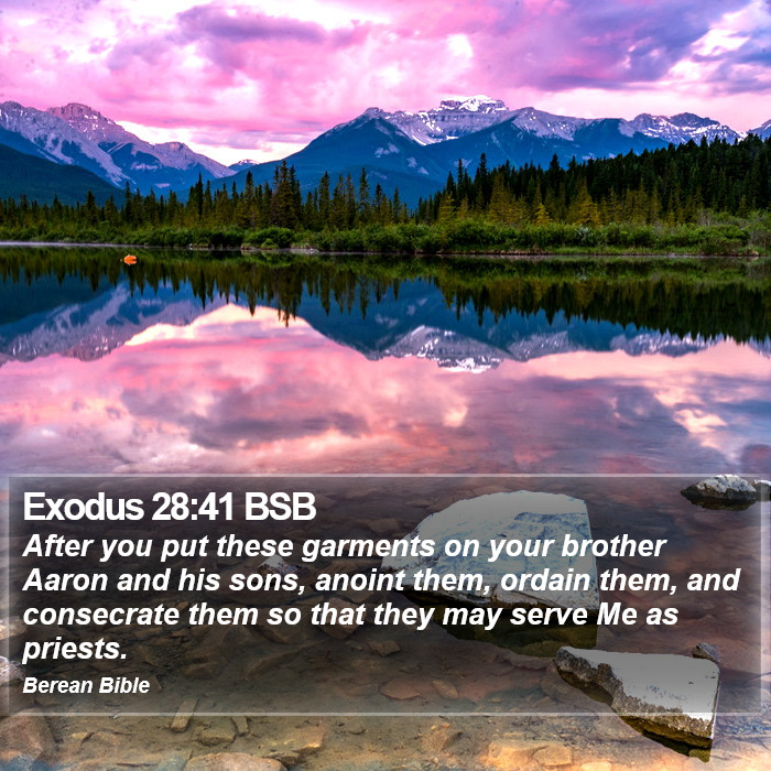 Exodus 28:41 BSB Bible Study