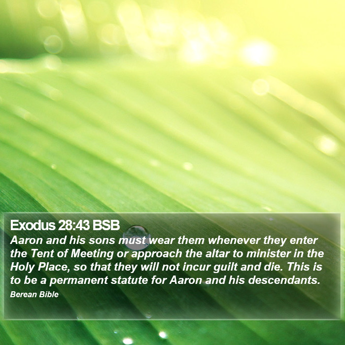 Exodus 28:43 BSB Bible Study