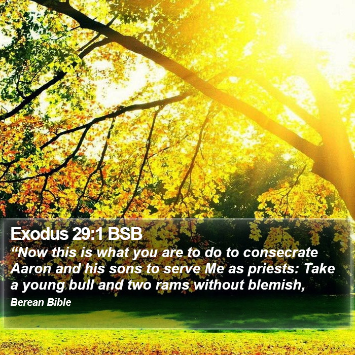 Exodus 29:1 BSB Bible Study